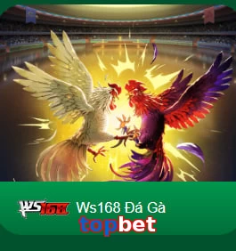 topbet